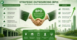 Professional BPO Solutions